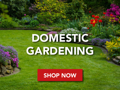 Domestic Gardening